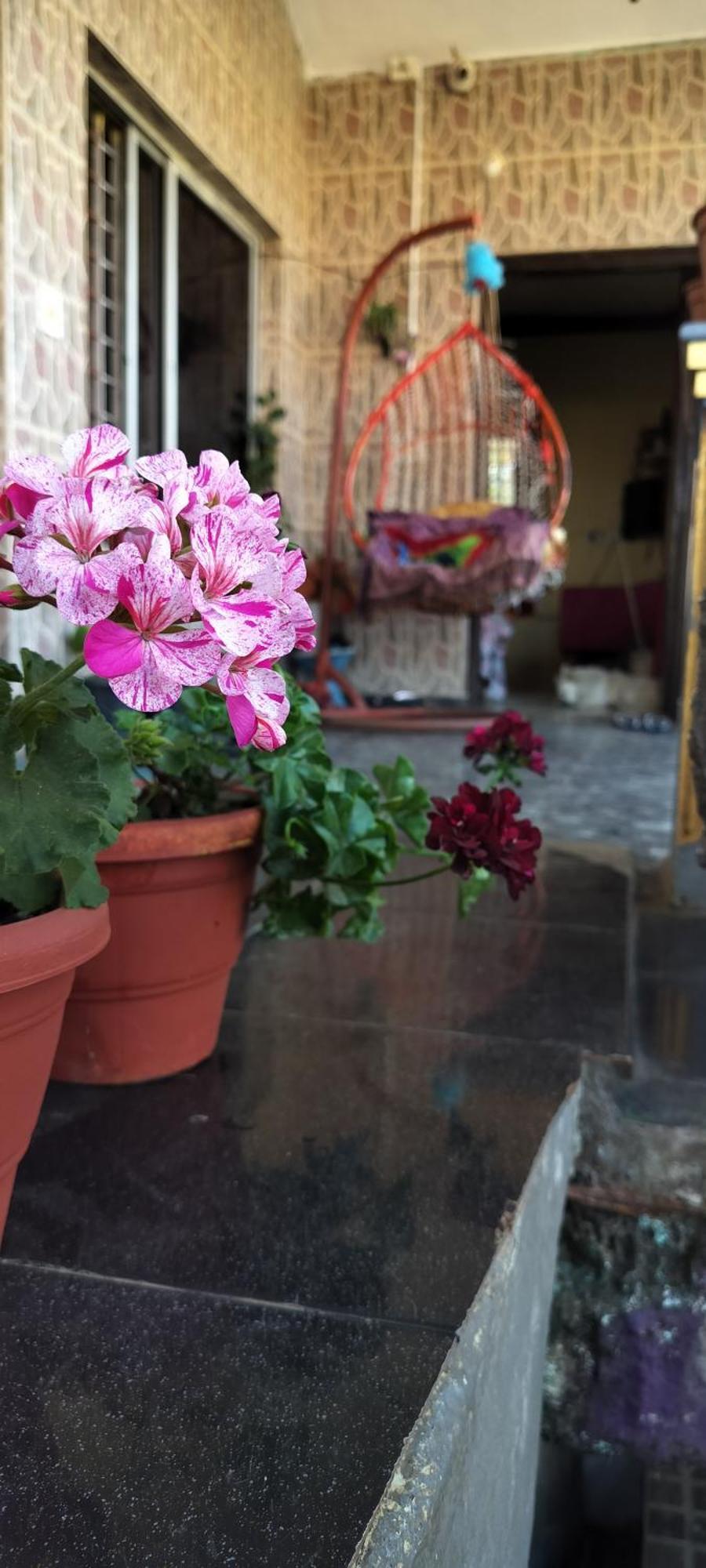 Royal Palm Homestay Madikeri Exteriér fotografie