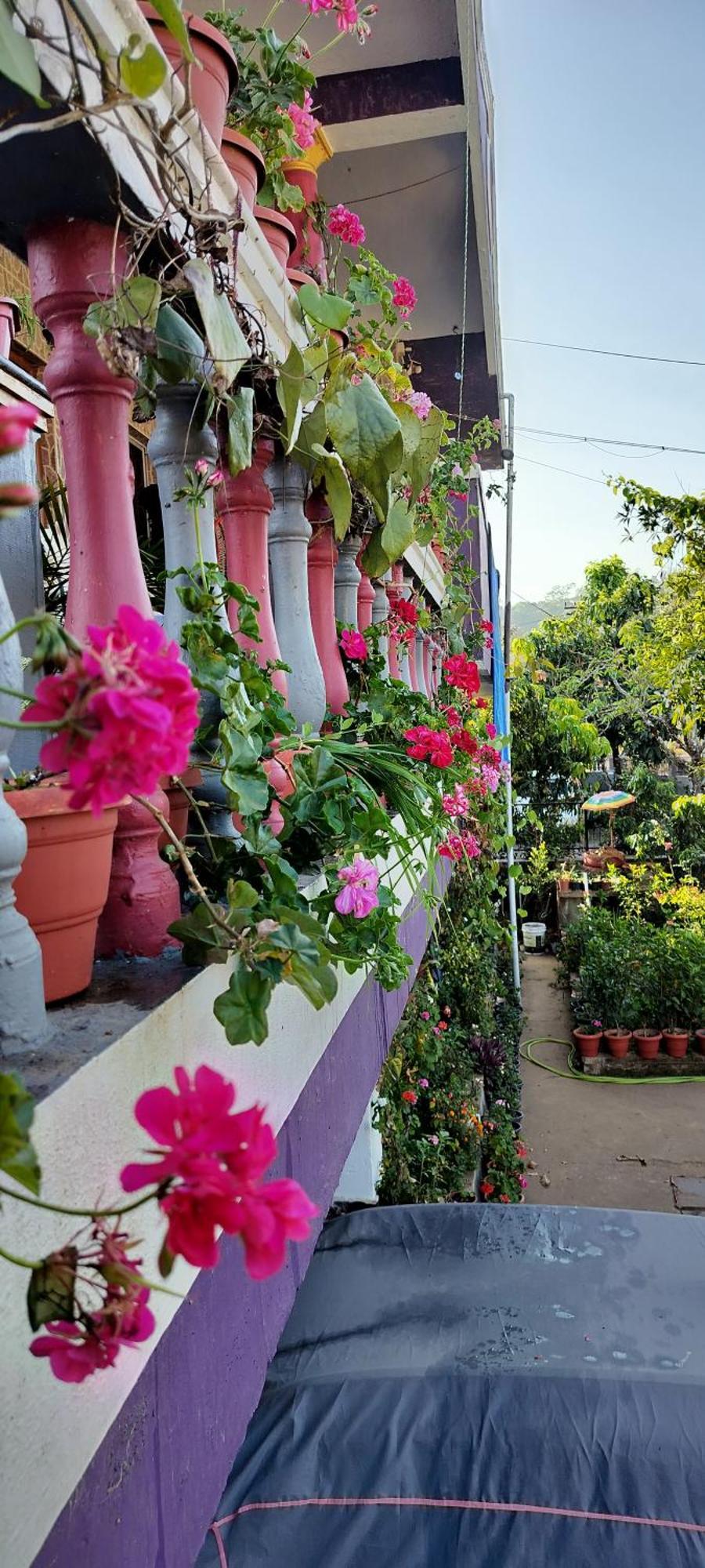 Royal Palm Homestay Madikeri Exteriér fotografie