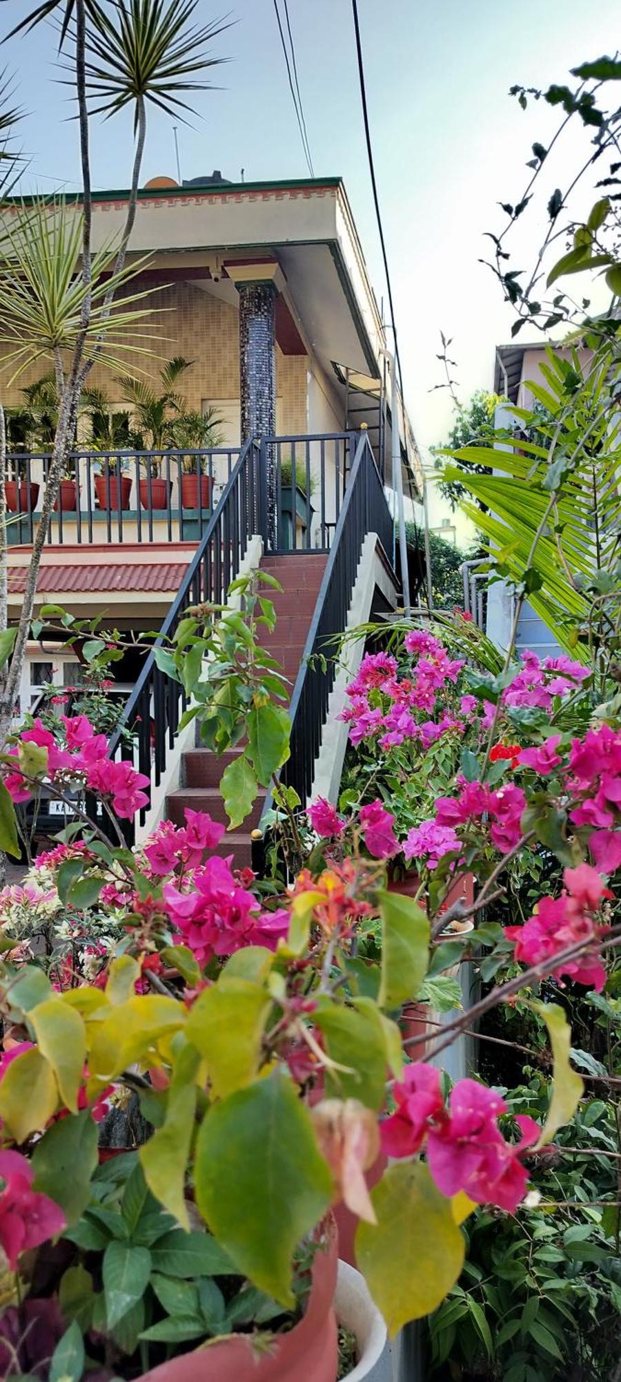 Royal Palm Homestay Madikeri Exteriér fotografie