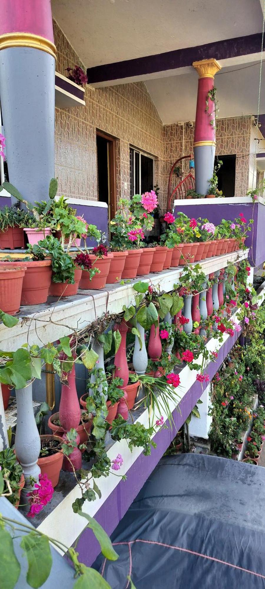 Royal Palm Homestay Madikeri Exteriér fotografie